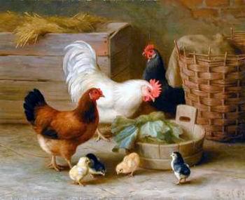 unknow artist Cocks 140 oil painting picture